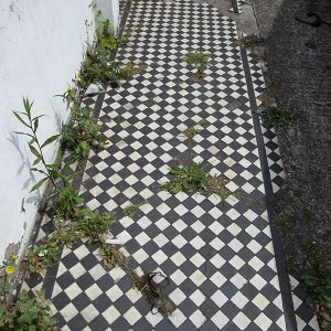 Restoration-victorian-tiles-1